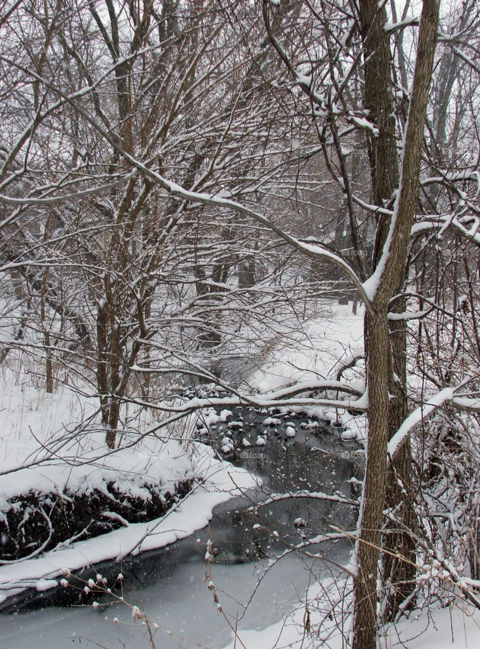 A small creek covered in snow in winter 