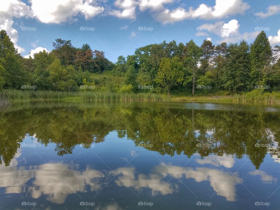 Cloudy blue sky and green trees reflecting off of a serene pond.