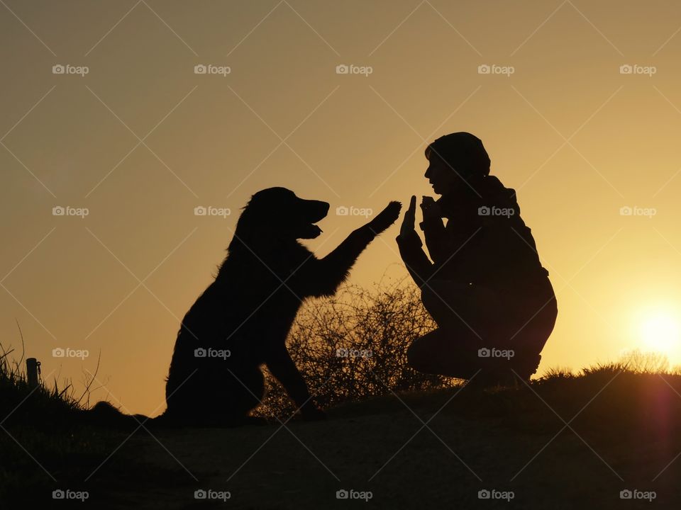 Sunset silhouettes  - my dog and me