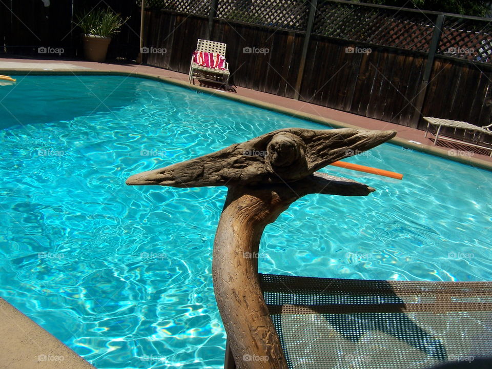 pool. a day at the pool