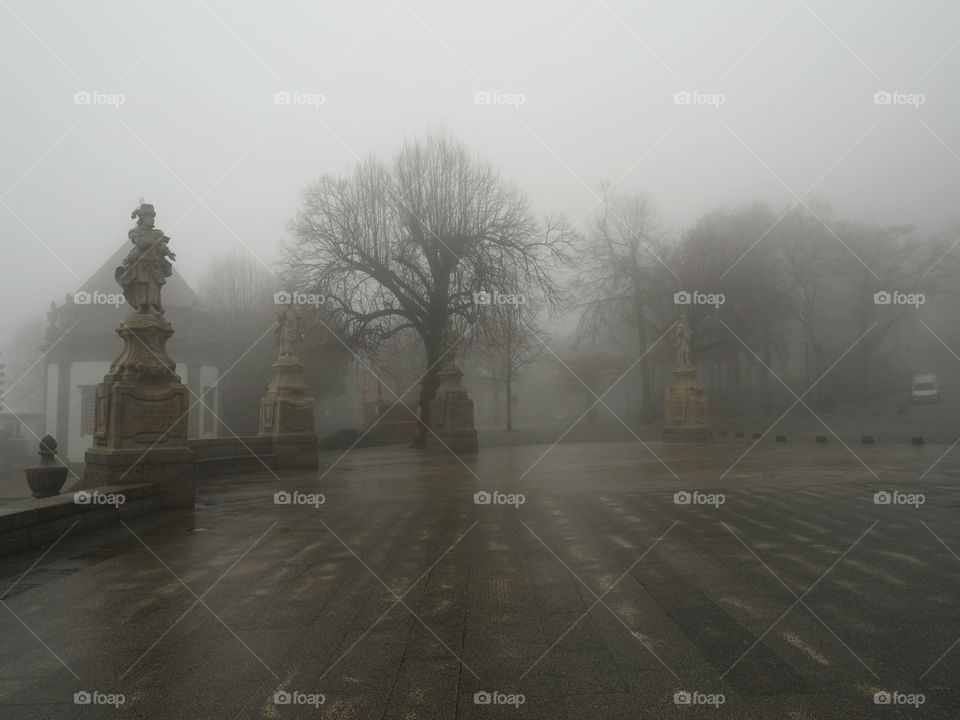 Fog. Square. Trees. Statue