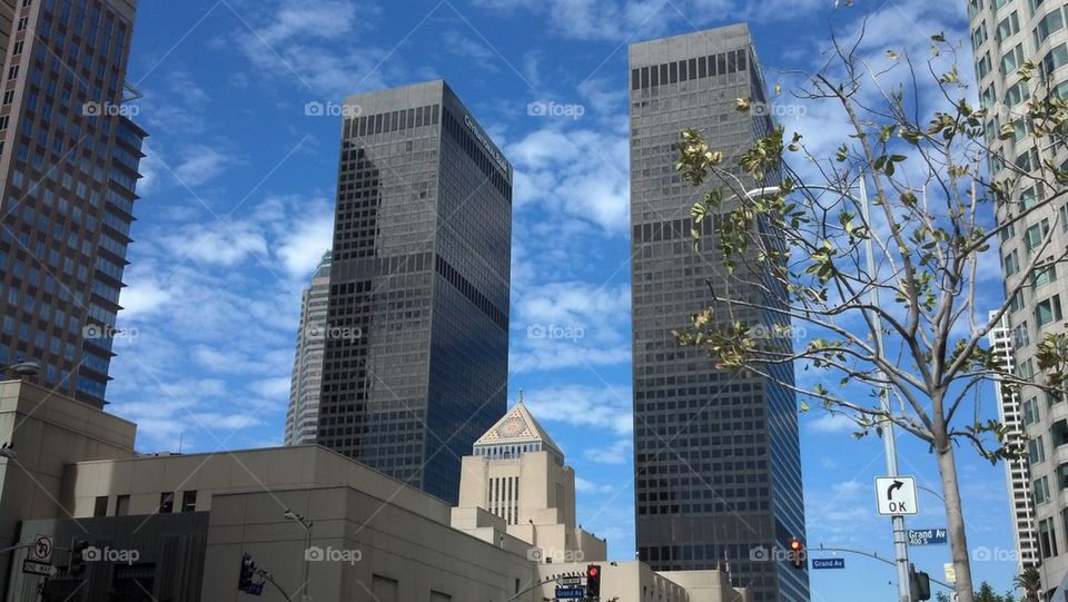 l.a. library 3