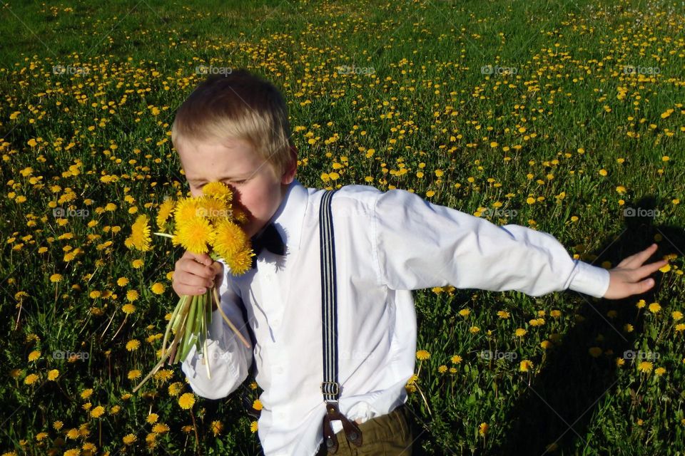 From the Dadelion field to summer vacatio