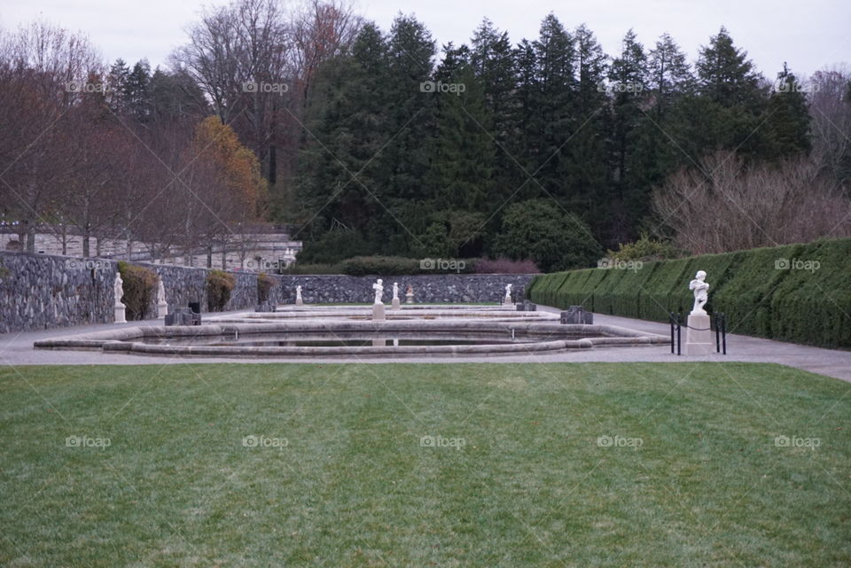 water pool gardens