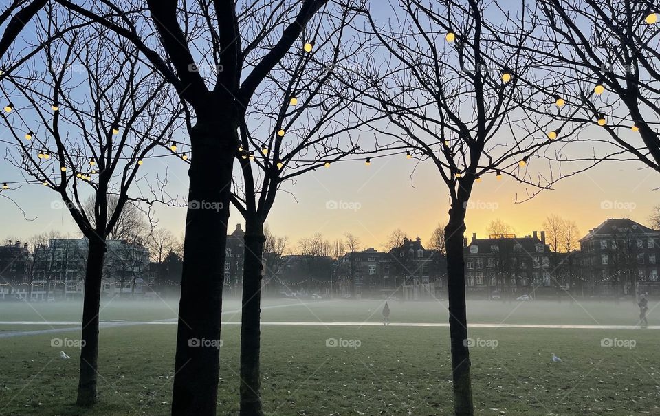 Kid staring at trees