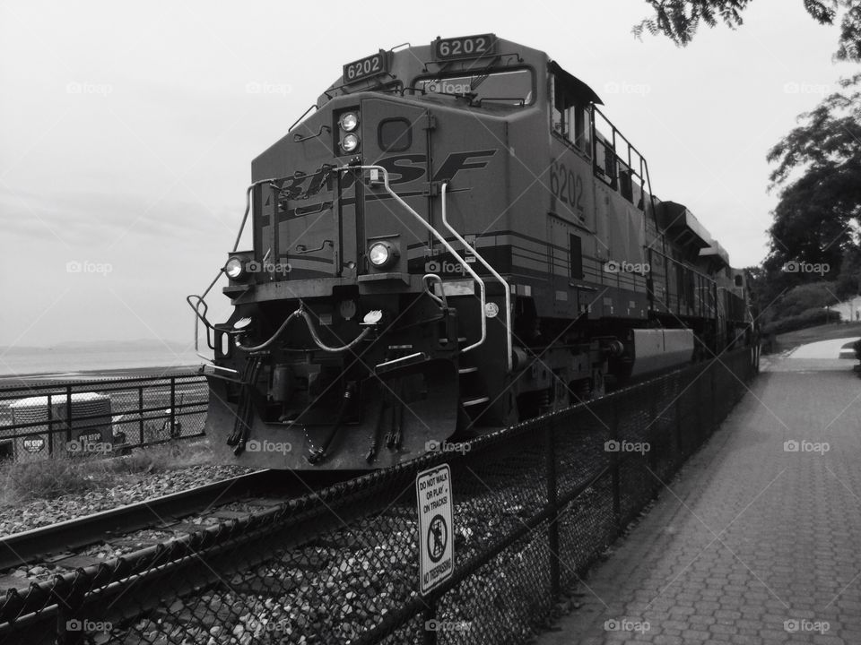 Train Going Through White Rock 