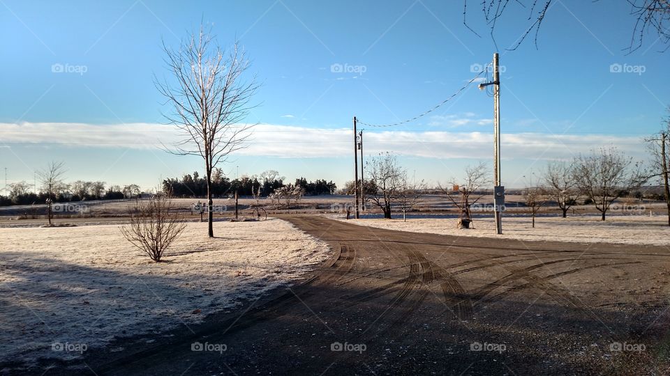 Landscape, No Person, Winter, Road, Tree
