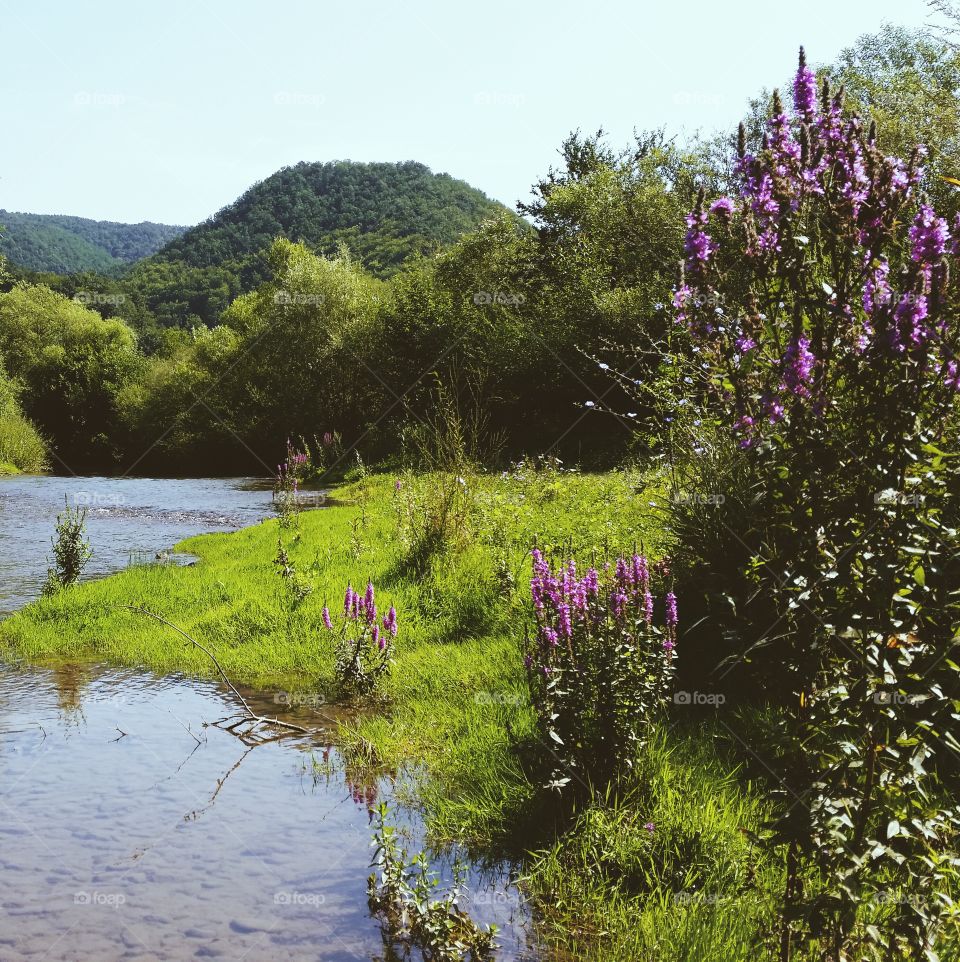 By the river