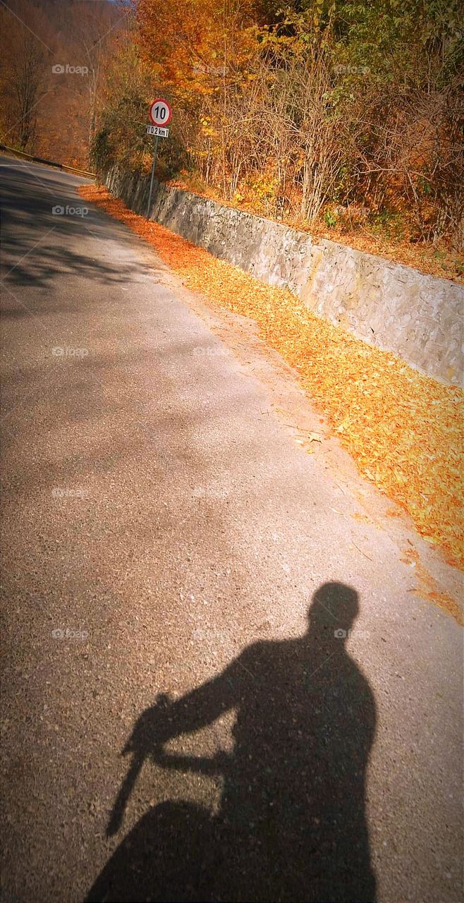 Vacantion series: road trips mission