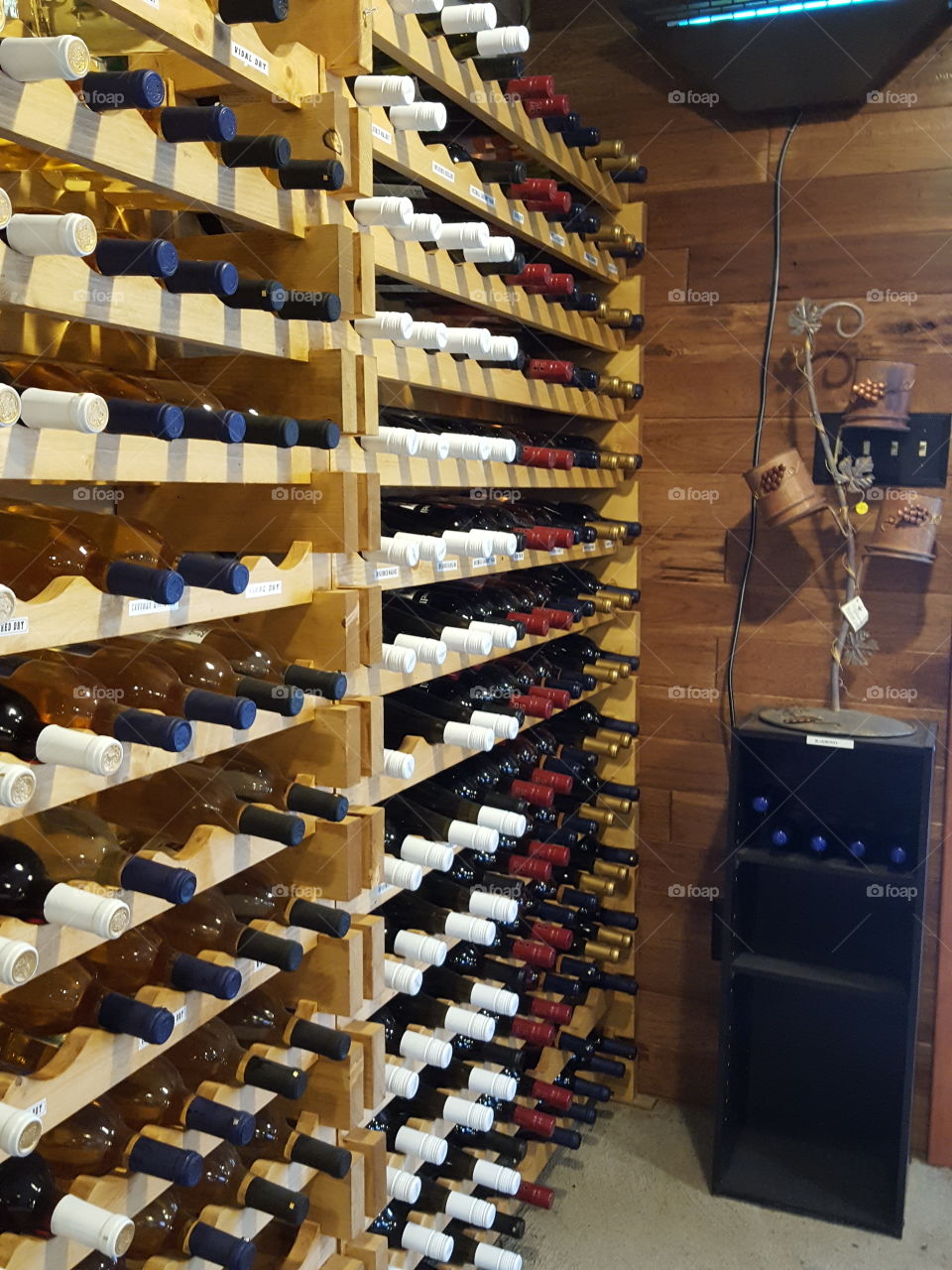 winery