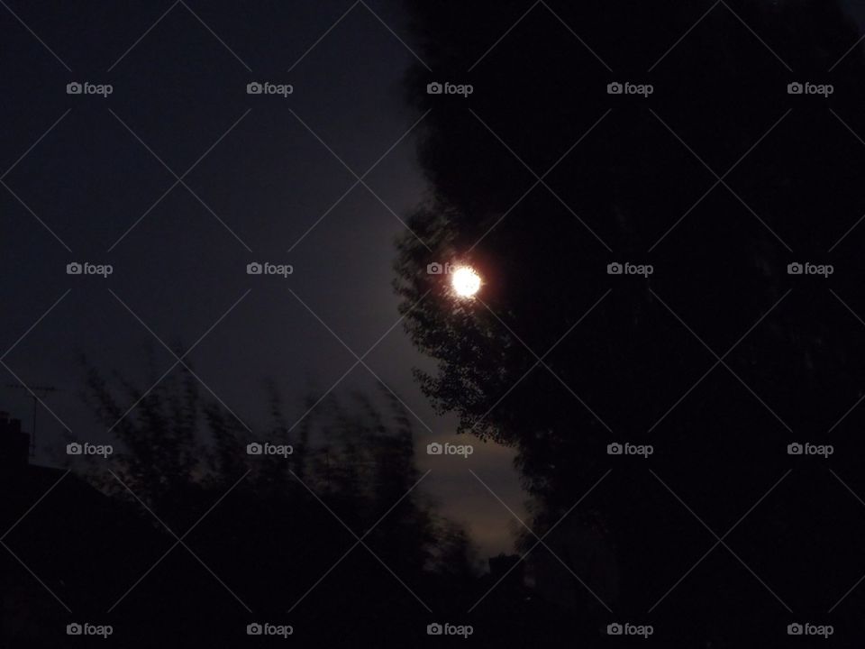 Super moon of august