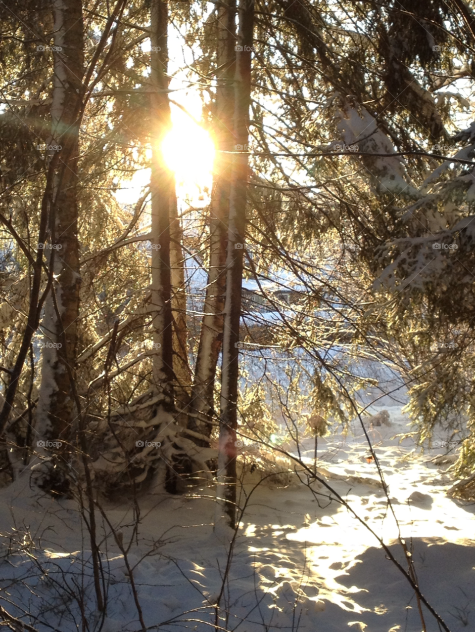 winter sun morningsun stockholm by kalpex