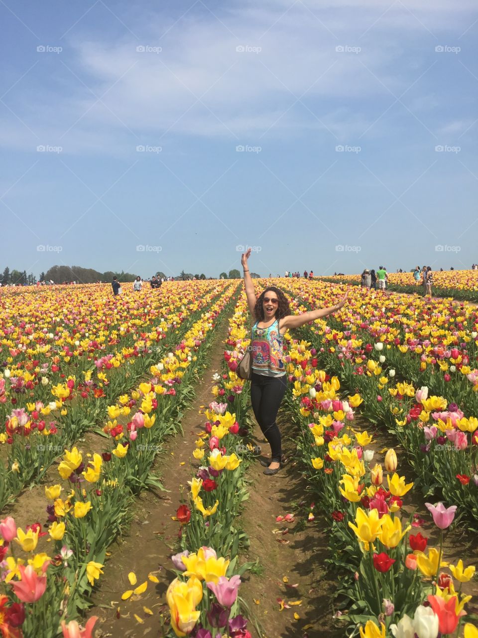 Tulip field 