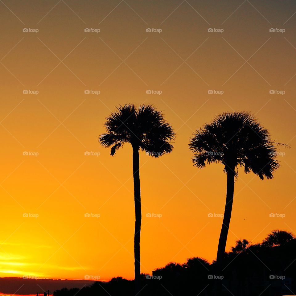 SUNSET Palms - My sunset symbolizes the completion of a day. The awesome beauty of the setting golden sun is also symbolic of the beauty and mystery of life itself.