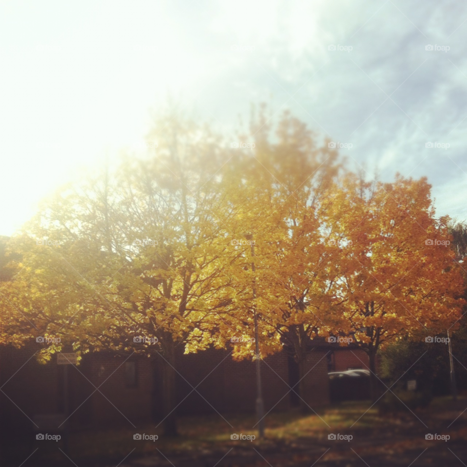 fall three walk london by apa86