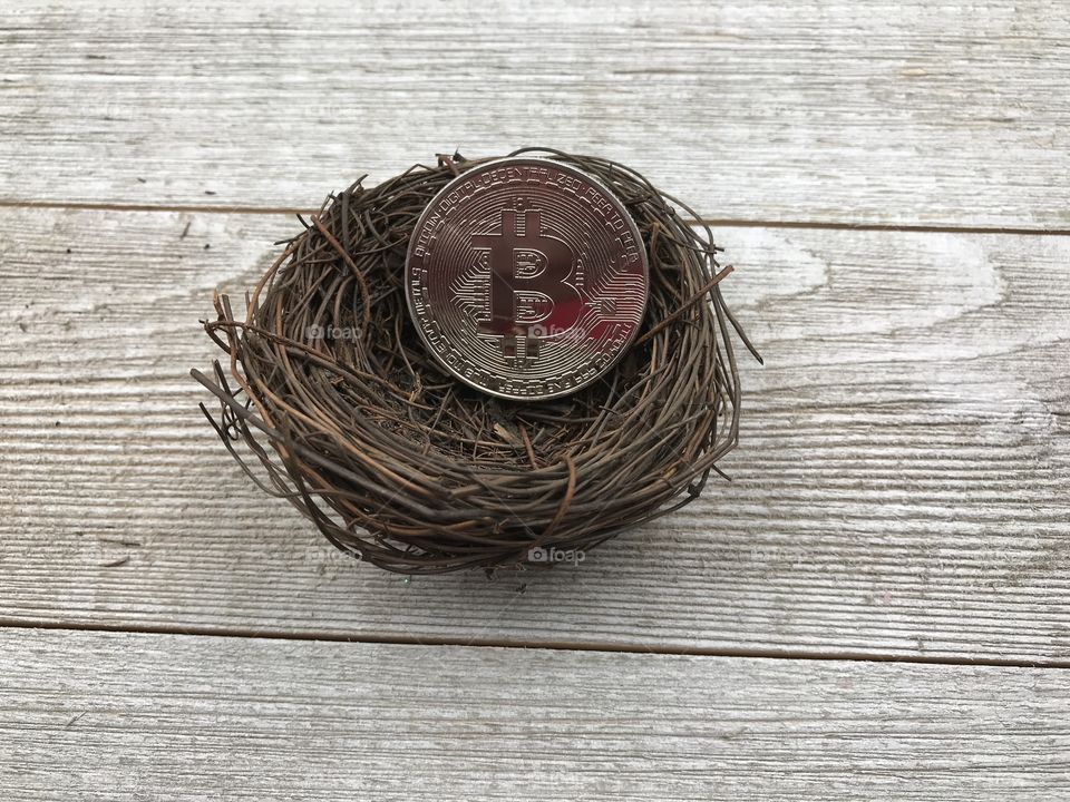 Bitcoin in nest on wooden plank background