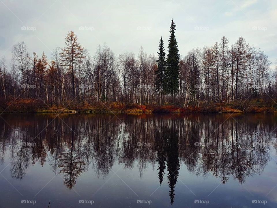 Осенняя пора, красоты