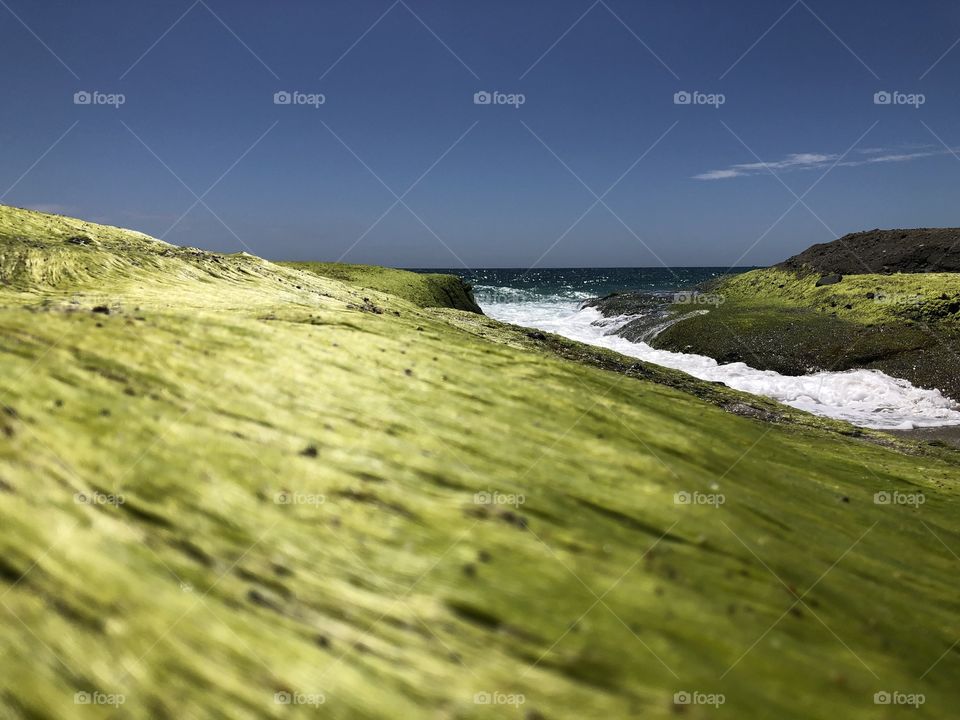 Green land by the sea