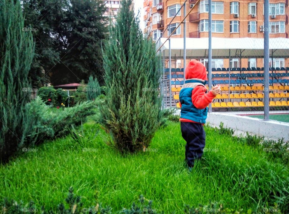 baby on the flower bed малыш на клумбе