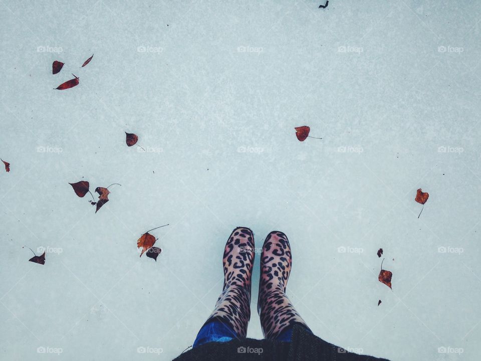 Dry leaves at the ice