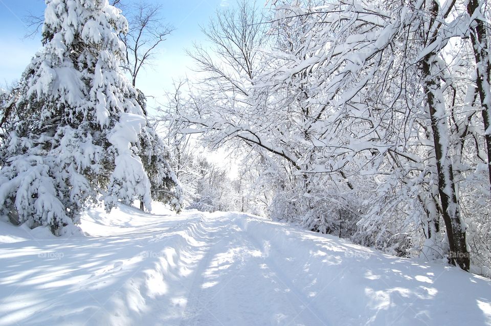 Fresh fallen snow on a country road