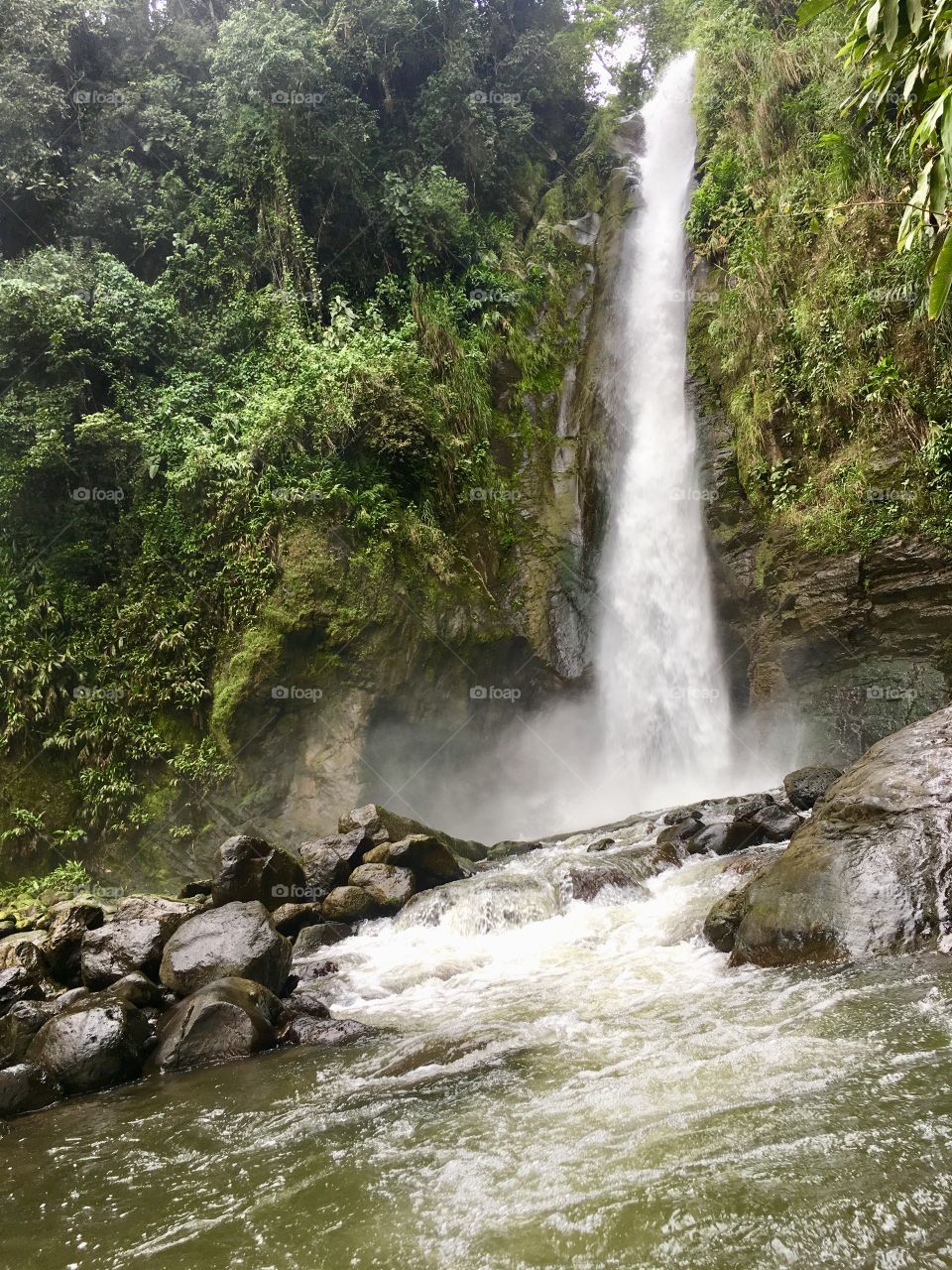 Aquiares Waterfall, Turrialba, Costa Rica 