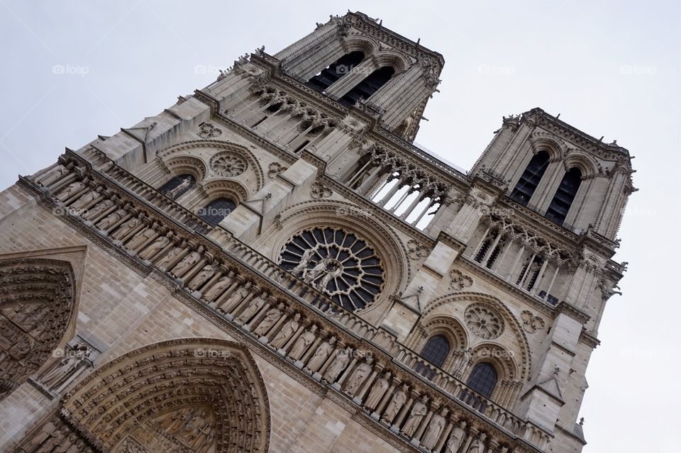 Looking up at the Notre-Dame, Paris, France 