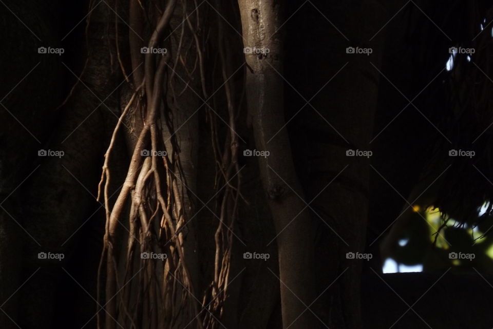 Dark, Nude, No Person, Art, Shadow