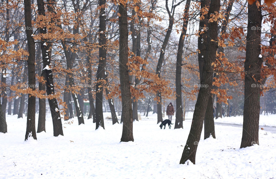 A woman and her dog in the winter park