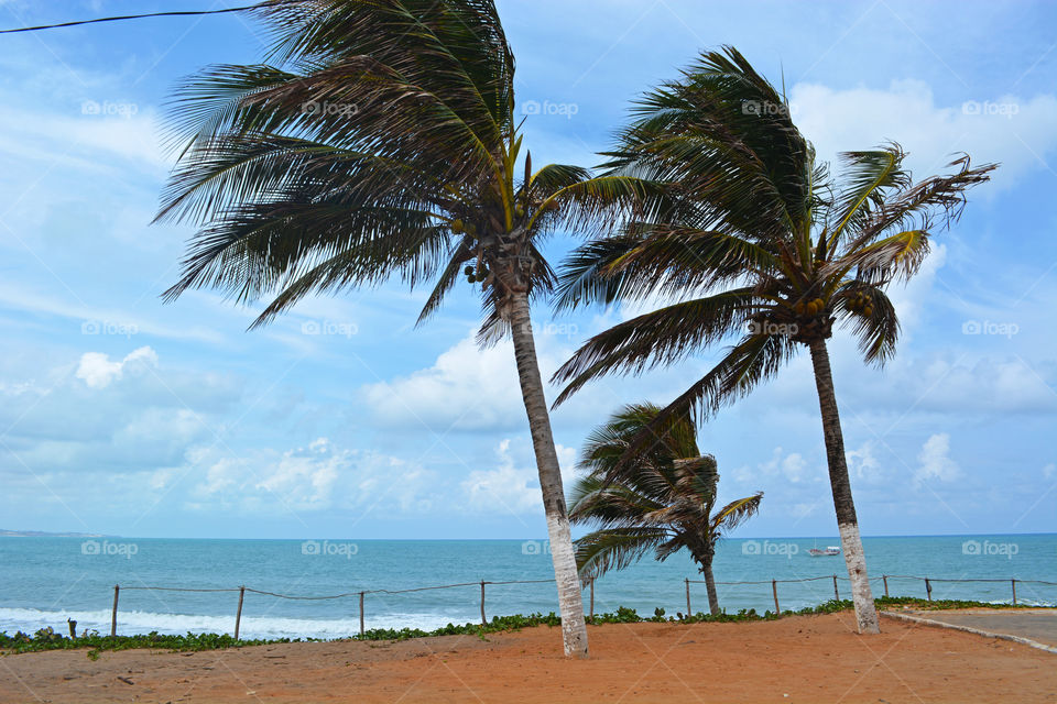 Windy beach