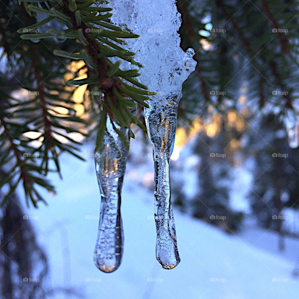 Macro icicles 