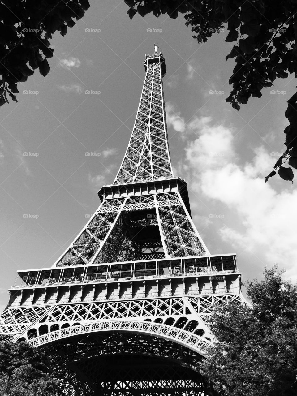 Eiffel Tower in Paris. Eiffel Tower in Paris