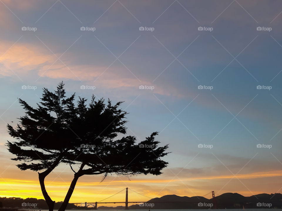 San Francisco. 💚💙❤️