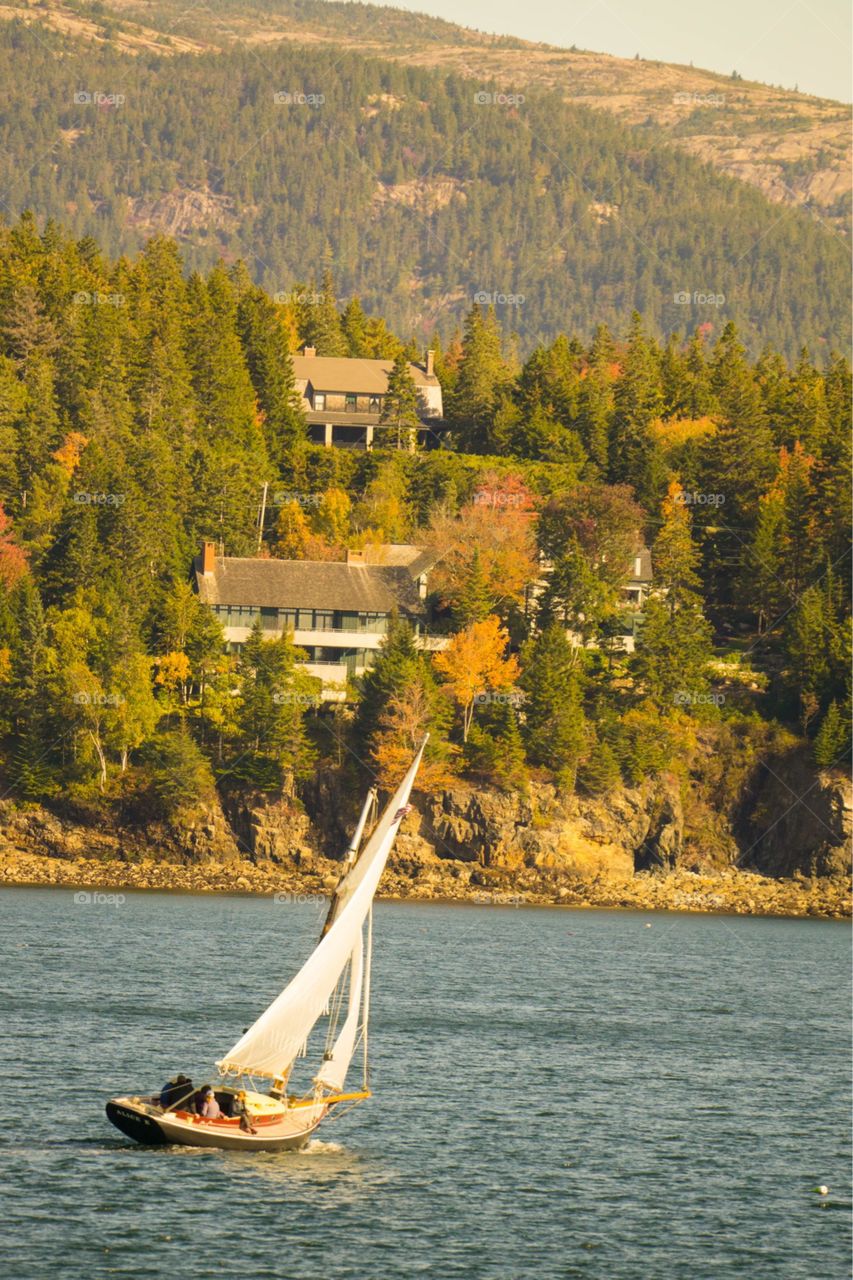 Sailing: Bar Harbor