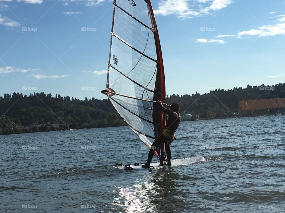 Man windsurfing in harbour