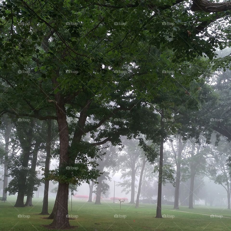 View of a foggy morning