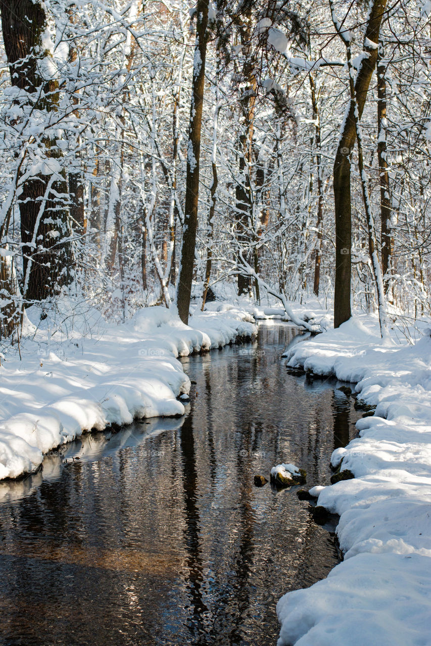 View of stream in winter