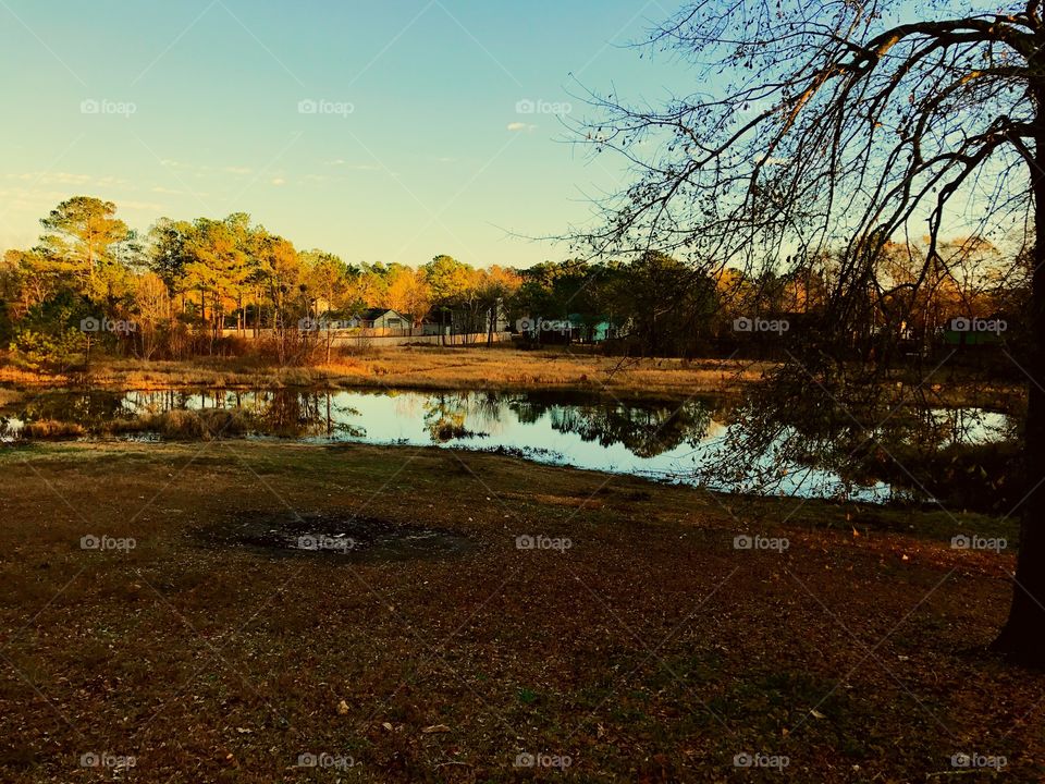 Fall yard