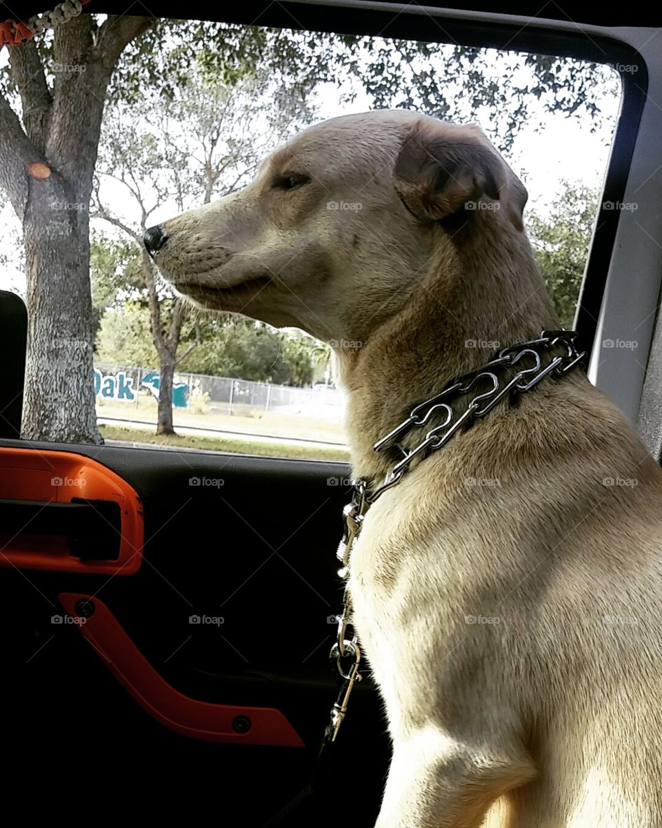 Not sure how to feel about this