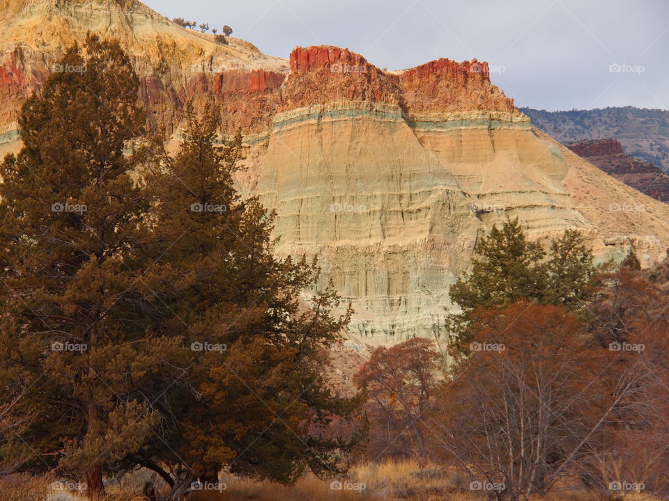 Layers of different colored geology on a hillside in Eastern Oregon. 
