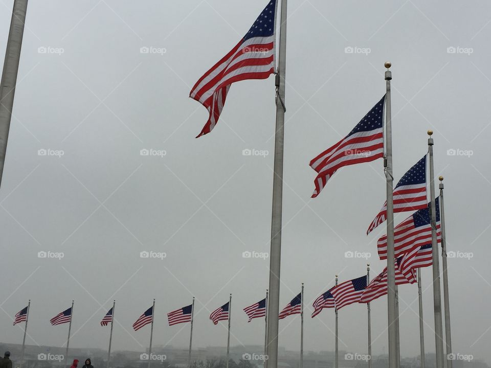 Flag, Flagpole, Wind, Administration, Patriotism