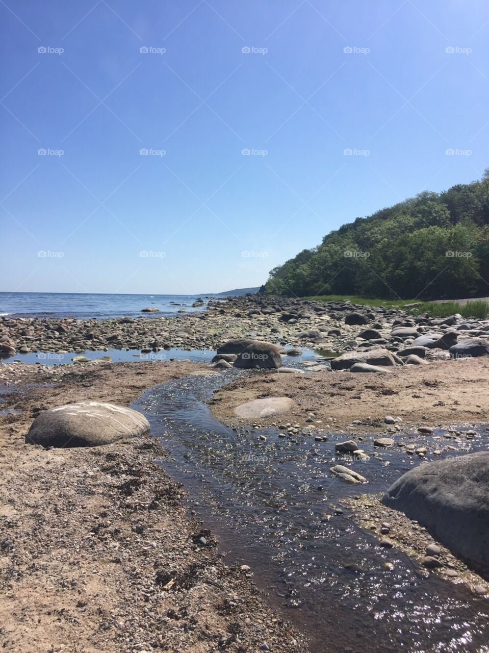 A rocky beach with bright blue water, mountains  covered in dense, green trees loom in the distance. 