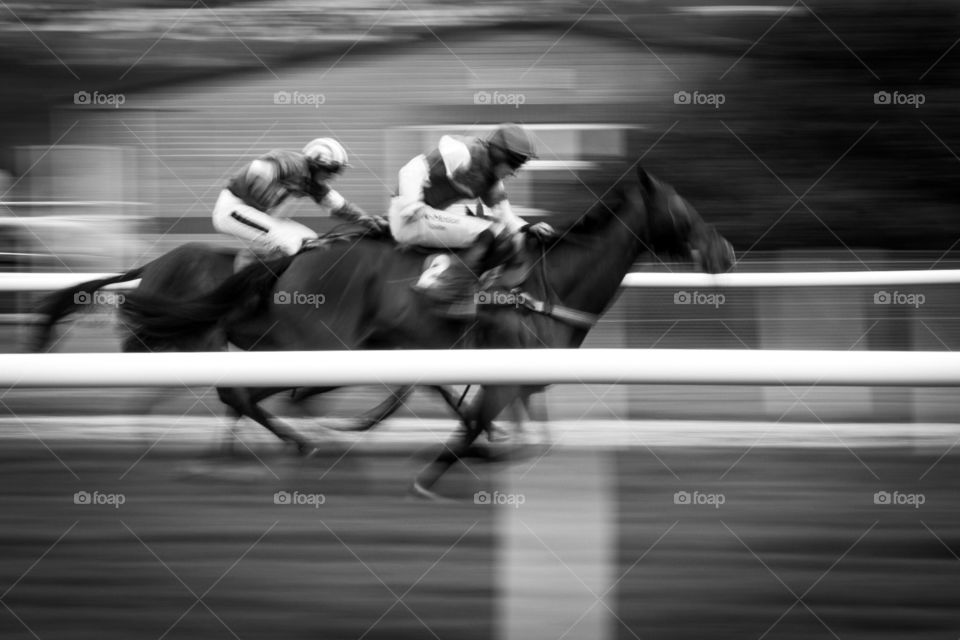 Race. Horse race