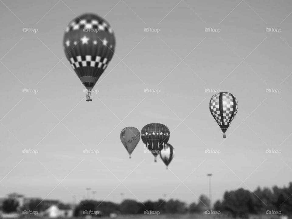Black and White Balloons Tilt-Shift. I photographed these balloons at the Great Midwest Balloon Fest in Olathe, Kansas, 2012.
