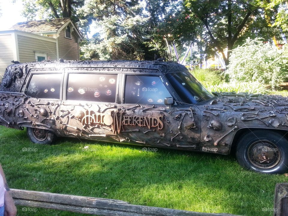 Cedar Point. Cedar Point