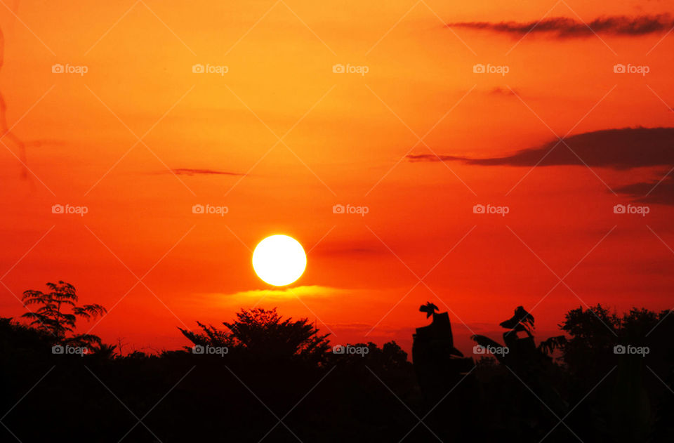 Travel around the world