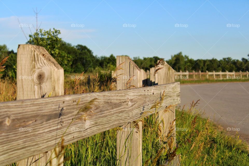 the wooden fence