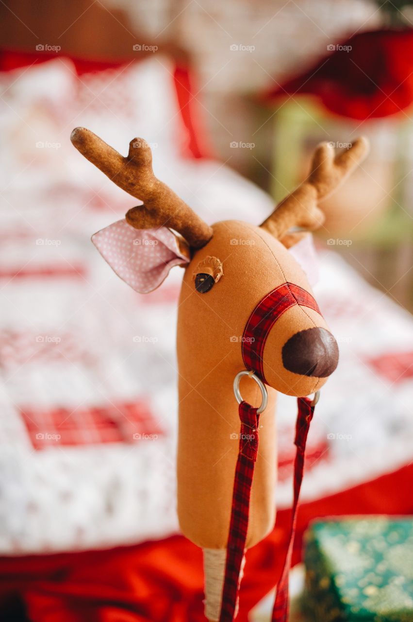 holiday, holiday resort, holidaying, holiday spirit, holidays seasons, holiday decor, winter holiday, christmas holidays, usa holiday, holidays, holidays seasons, summer holidays, winter holidays, going on holidays, family holidays, people on holidays, perfect holidays, christmas holidays, autumn holidays, christmas, xmas, christmas tree, nostalgic christmas, classic christmas tree, child christmas, christmas new york, winter sport, winter season, winter sports, winter landscape,