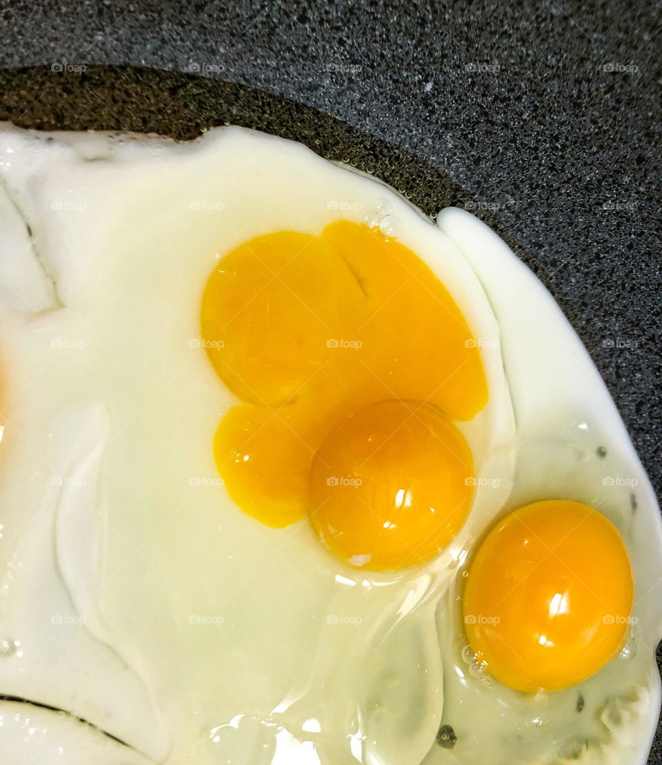 Circle yellow eggs 