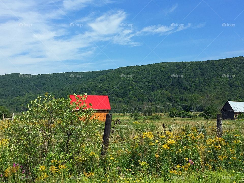 Countryside landscape 